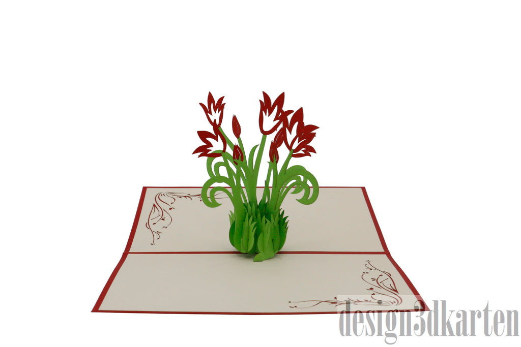 Tulpen von design3dkarten