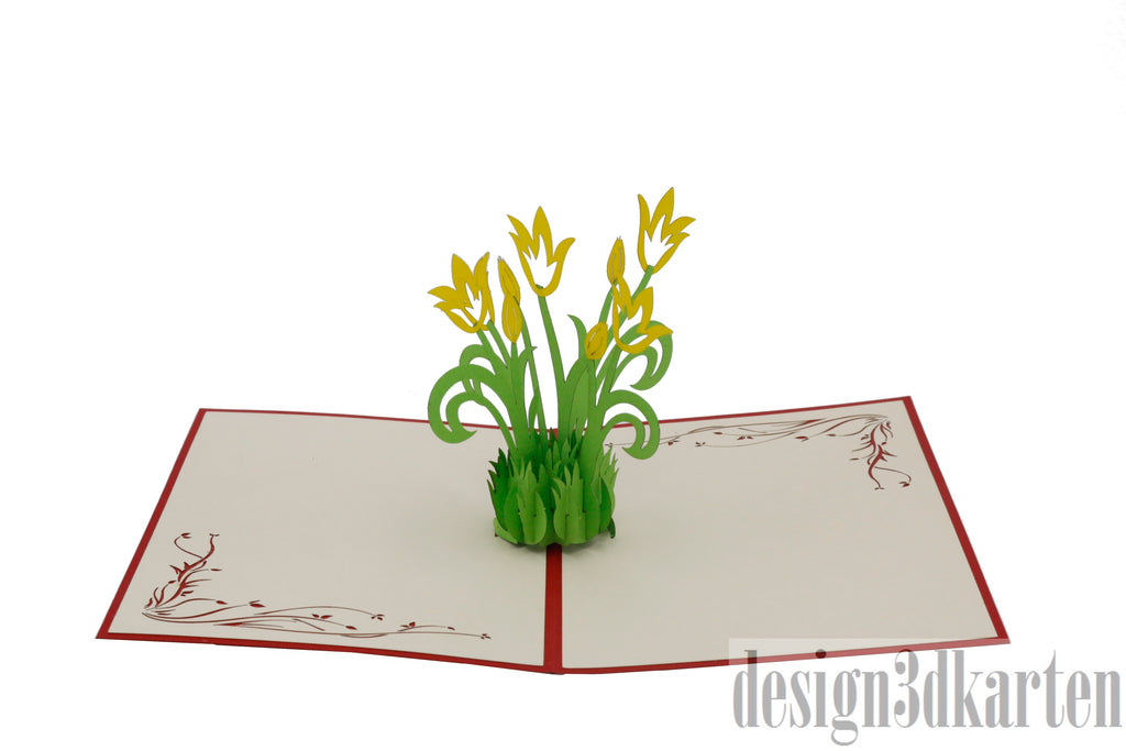 Tulpen von design3dkarten