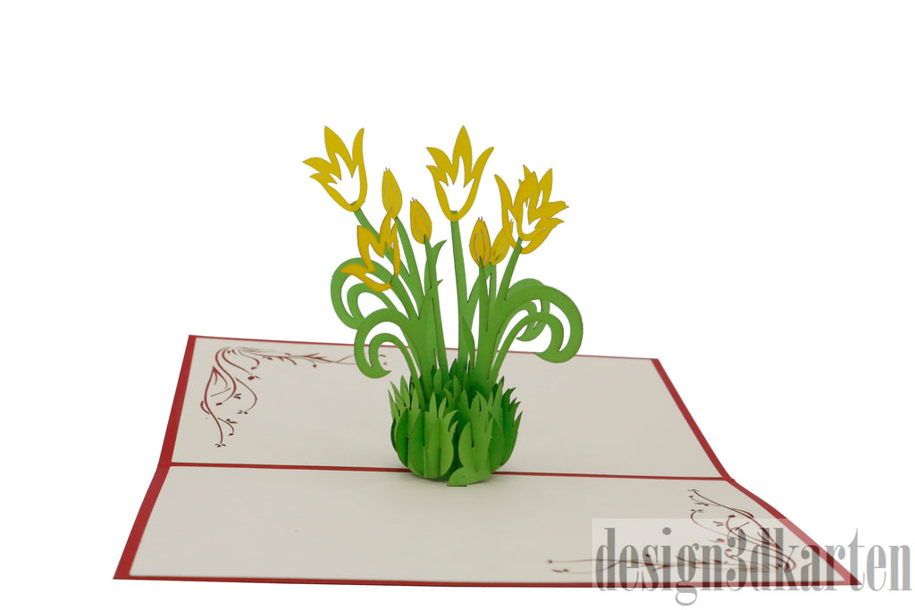 Tulpen von design3dkarten